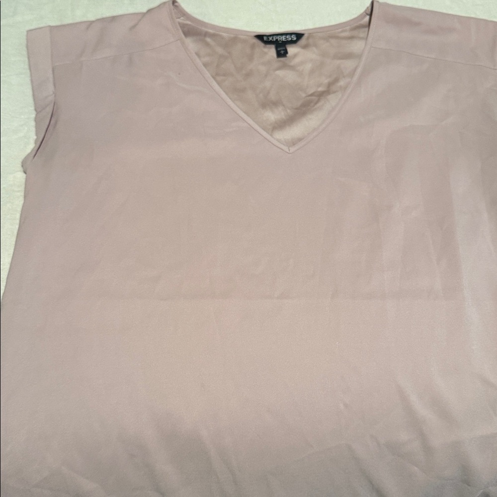 Express Mauve V-Neck Top